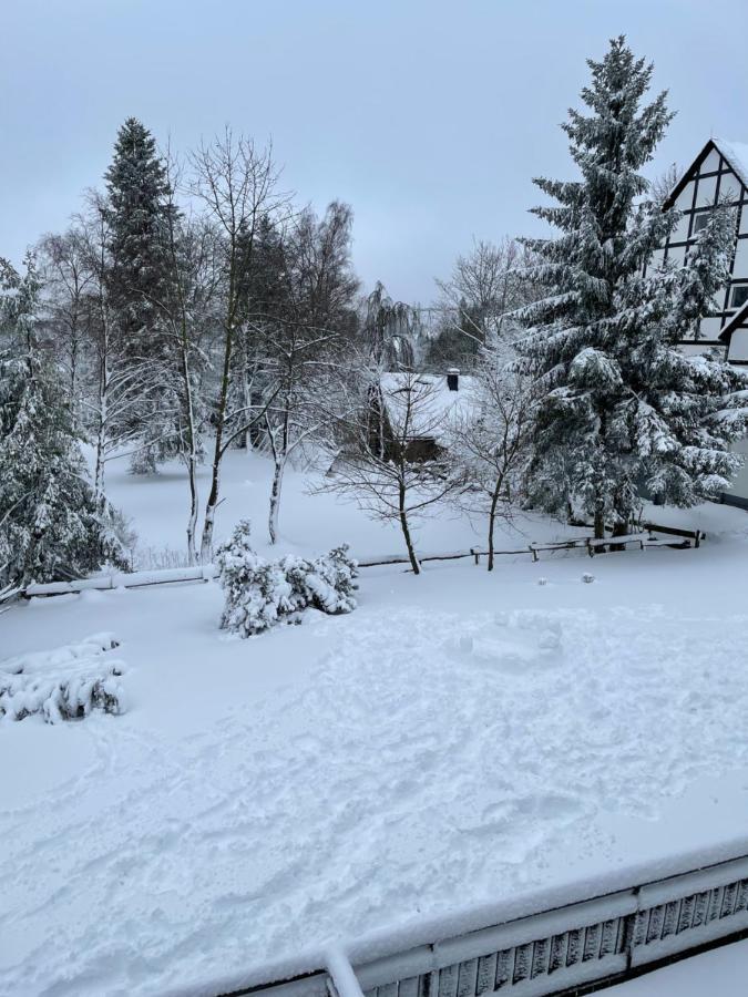 Aventur Studio 212 Am Rotharrsteig Medebach Bagian luar foto