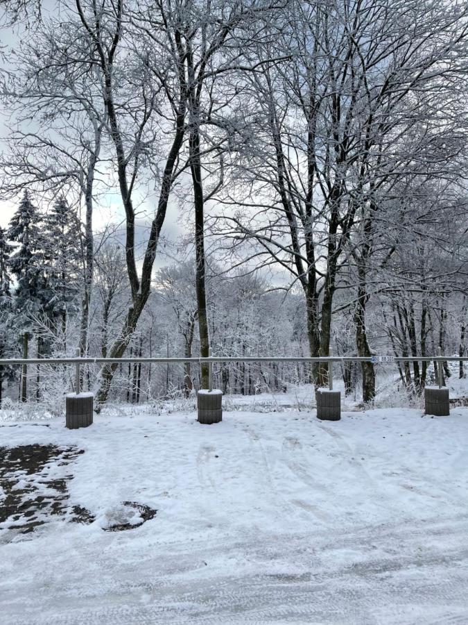 Aventur Studio 212 Am Rotharrsteig Medebach Bagian luar foto